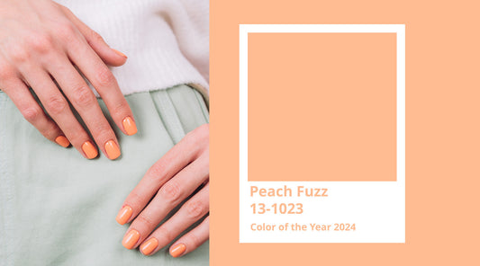 Pantone Farbe des Jahres 2024 Peach Fuzz  