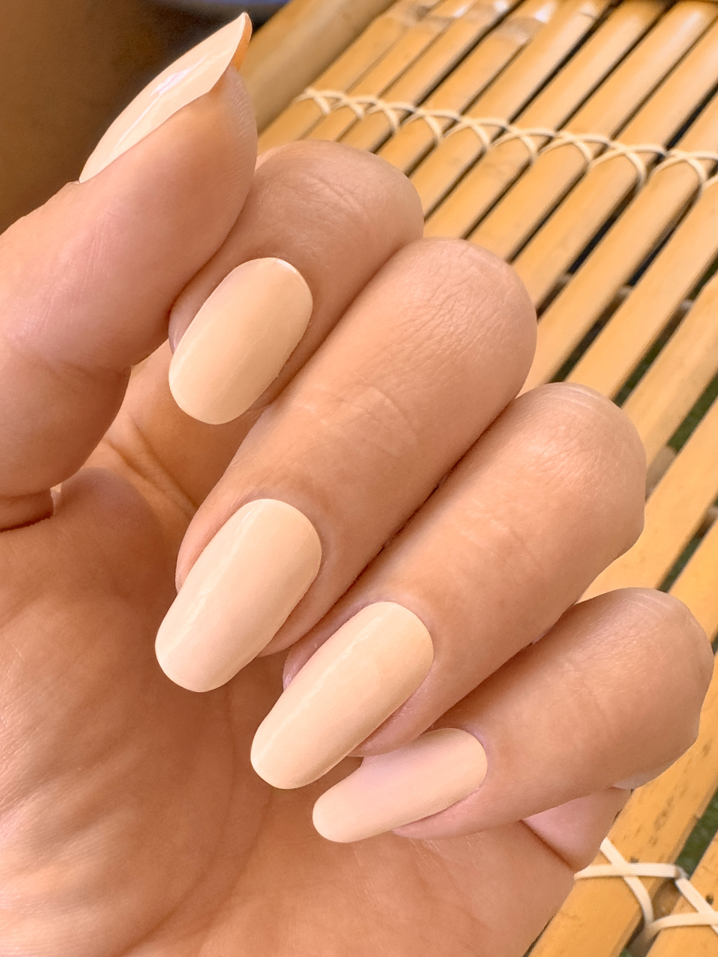 Bikini Apricot