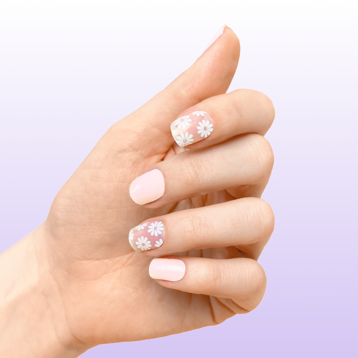 Gel Nail Strip Blushing Daisy
