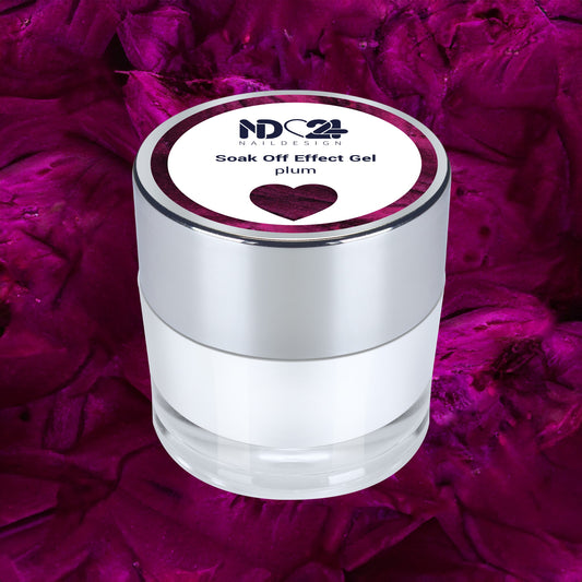 Soak Off Effect Gel plum