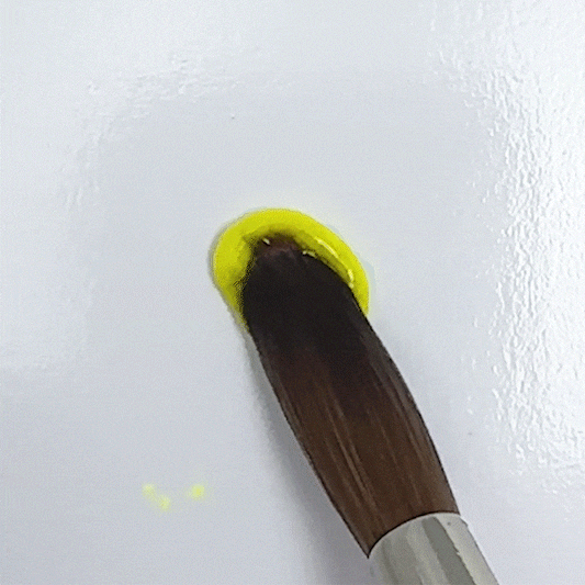 ACRYLIX Summer Splash Powder Bundle