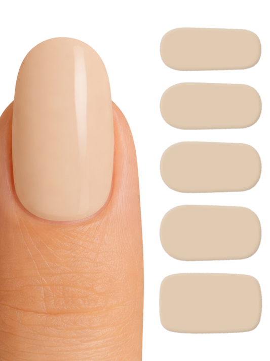 Seashell Nude